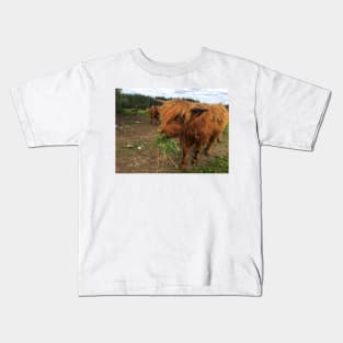 Scottish Highland Cattle Calves 2039 Kids T-Shirt